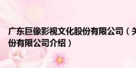 廣東巨像影視文化股份有限公司(關于廣東巨像影視文化股份有限公司介紹)