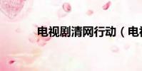 電視劇清網行動(電視劇情網)
