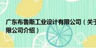 廣東布魯斯工業設計有限公司(關于廣東布魯斯工業設計有限公司介紹)