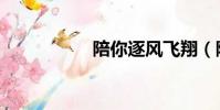 陪你逐風飛翔(陪你)