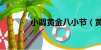 小調黃金八小節(黃金小調)