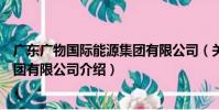 廣東廣物國際能源集團有限公司(關于廣東廣物國際能源集團有限公司介紹)