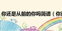 你還是從前的你嗎簡譜(你還是從前的你嗎)