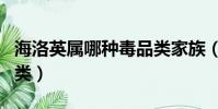 海洛英屬哪種毒品類家族(海洛英屬哪種毒品類)