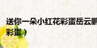 送你一朵小紅花彩蛋岳云鵬(送你一朵小紅花彩蛋)