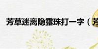 芳草迷離隱露珠打一字(芳草迷離隱露珠)