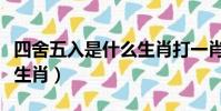 四舍五入是什么生肖打一肖(四舍五入是什么生肖)