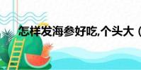 怎樣發海參好吃,個頭大(怎樣發海參)