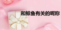 和鯨魚有關的昵稱(和鯨)
