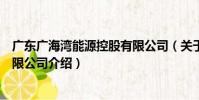 廣東廣海灣能源控股有限公司(關于廣東廣海灣能源控股有限公司介紹)
