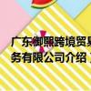 廣東御熙跨境貿易服務有限公司（關于廣東御熙跨境貿易服務有限公司介紹）