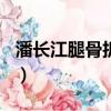 潘長江腿骨折了（潘長江被800斤哈雷砸傷腿）