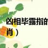 兇相畢露指的什么生肖（兇相畢露開過什么生肖）
