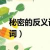秘密的反義詞是什么 標準答案（秘密的反義詞）