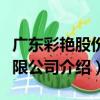 廣東彩艷股份有限公司（關于廣東彩艷股份有限公司介紹）