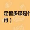 足智多謀是什么生肖動物（足智多謀是什么生肖）