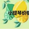 小提琴價格最貴是多少（小提琴價格）