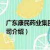 廣東康民藥業集團有限公司（關于廣東康民藥業集團有限公司介紹）