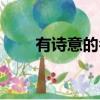 有詩意的名字男孩（有詩意的名字）