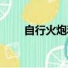 自行火炮和坦克（自行火炮和坦克）