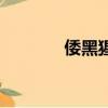 倭黑猩猩的英文（倭黑猩猩）