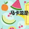 馬卡龍是什么材質（馬卡龍是什么）