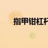 指甲鉗杠桿原理的支點（指甲鉗杠桿）