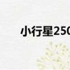小行星2502（關于小行星2502簡介）