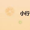 小行子（關于小行子簡介）