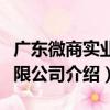 廣東微商實業有限公司（關于廣東微商實業有限公司介紹）
