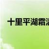 十里平湖霜滿天 寸寸青絲愁華年是誰寫的