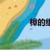 樟的組詞有什么（樟的組詞）