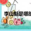 李山魁是哪部電視劇滄（李山魁是哪部電視劇）