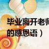 畢業離開老師的感恩語200字（畢業離開老師的感恩語）