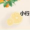 小行星（關于小行星簡介）