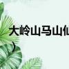大嶺山馬山仙境是不是馬山（大嶺山馬山仙境）