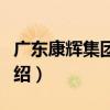 廣東康輝集團公司（關于廣東康輝集團公司介紹）