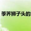 荸薺獅子頭的家常做法（獅子頭的家常做法）