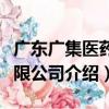 廣東廣集醫藥有限公司（關于廣東廣集醫藥有限公司介紹）