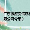 廣東微應變傳感科技有限公司（關于廣東微應變傳感科技有限公司介紹）