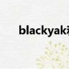 blackyak和北面哪個好（black yak）
