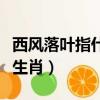 西風落葉指什么生肖和動物（西風落葉指什么生肖）