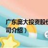 廣東龐大投資股份有限公司（關于廣東龐大投資股份有限公司介紹）