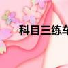 科目三練車被交警抓了（科目三練車）