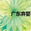 廣東棄嬰島（關于廣東棄嬰島介紹）