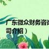 廣東微眾財務咨詢有限公司（關于廣東微眾財務咨詢有限公司介紹）