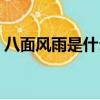 八面風雨是什么生肖（八方風雨是什么生肖）