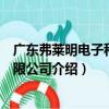 廣東弗萊明電子科技有限公司（關于廣東弗萊明電子科技有限公司介紹）