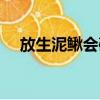 放生泥鰍會破壞生態系統嗎（放生泥鰍）