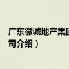 廣東微誠地產集團有限公司（關于廣東微誠地產集團有限公司介紹）